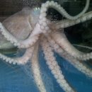 하의중학교 이미지