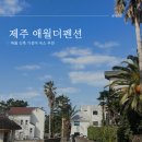 가가펜션 | 애월 가성비 숙소 제주도 애월더펜션 205호 후기