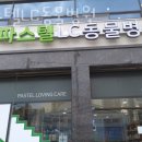 파스텔LC동물병원 이미지