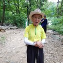 서울,안양,과천의 관악산(冠岳山)의 여름 이미지