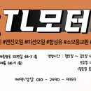 티엘모터스
