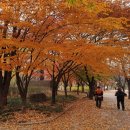 두류공원1공영주차장 이미지