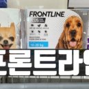 중앙대성약국 이미지