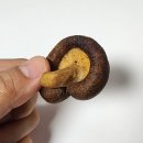 건강한 수제간식 연근 팩토리 자연에서 온 간식(표고버섯, 무화과, 은행, 연근)