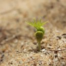 옥과농약사 이미지