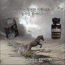 씨피테라피