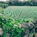 난산리경로당 이미지