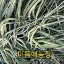 미듬애농장 이미지