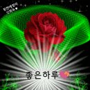 청주롤러스케이트장 Daum카페
