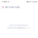 마멀레이드 이미지