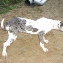 선규농장 이미지