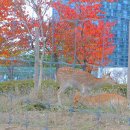 일루와농장 이미지