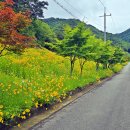 월리사 - 청주시 상당구 | 월리사