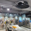 세탁프리워시 탑동점 이미지