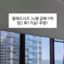 팔레드시즈부동산중개 이미지