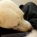 울루라떼 이미지