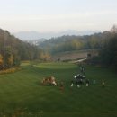 양지골프레인지 이미지