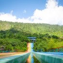 힐 스프링 이미지