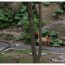 돌하르방국수 이미지