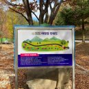 고란길(길안면) | 38. 안동 계명산자연휴양림 캠핑 후기