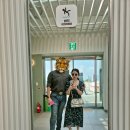 부엉이 안경가게(완도점) | 내가 가지고 있는 가방 리스트 + 처분한 추억의 가방들 2026 👜