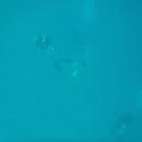 레저클럽 이미지