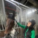 호포승마스쿨 이미지