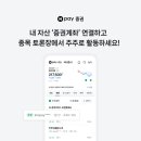 마이주주 티스토리
