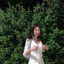 더리즈 | [Ownt] 온트 웬디 블라우스 Wendy Blouse 후기 (+더위시 리즈 뉴로하 데님 사이즈 추천)