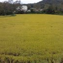 혜성 당구장 이미지