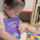 그림책 속으로 독서여행 | 아이 문해력 키우는 블루래빗토끼책방 그림책 추천, 아이와 행복한 독서시간