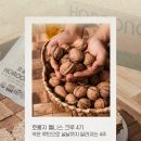 주호농장 | 작은 루틴으로 설날까지 달라지는 4주호룽지 웰니스 크루 4기 모집 안내