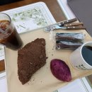 유투 | 속초 애견동반 카페 유투 강아지 1층만 가능 솔직후기