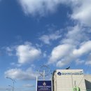 한국해양소년단전북연맹 이미지