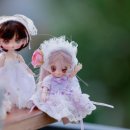 (주)앙주 이미지