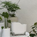 집들이선물로 좋은 프렌치아 전자디퓨저 플라워부케향 거실인테리어겸 사용후기