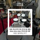설날 준비하며 창원 개나리악기점 전자드럼 직접 체험...블랙캣&#39;님 Alesis Nitro Max 전자드럼 후기