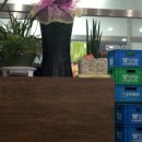 들마루칼국수 이미지