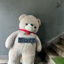 부산 파스타 맛집 구서동 레스토랑 1993다이닝, 소불고기 크림파스타·한돈 라구 파스타 후기