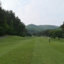 체리코스