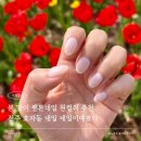 크라우드PC 신시가지점 | 봄 맞이 팬톤네일 원컬러 추천 전주 효자동 네일 네일이예쁘다