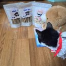 pet14다7595 | [페네핏 고양이 간식 후기] – 땅콩이 최애 간식 두두등장 (동결열빙어/츄르/동결닭가슴살)