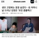 시사-북한 소식- 김정은 백두혈통 아니고 짝퉁인가? 이미지