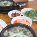 대전순대 | 대전 유성온천 맛집 설천순대국밥 후기