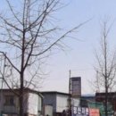 탑자동차공업사 이미지