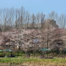 양재천 수변무대4 이미지