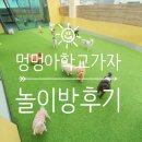 대명동 강아지 | 대구 남구 대명동 &#39;멍멍아학교가자 2호점(대명점)&#39; 놀이방 후기