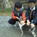 소중농장 이미지