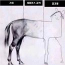 파이널마케팅