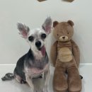 오늘도, 아름답개 이미지